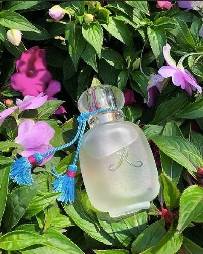 Buy Les Parfums De Rosine Ecume de Rose eau online use,French perfumery house, buy French perfumery, order online perfumery in usa, buy online perfume usa, where to buy French perfumery in usa, price French perfumery in usa, delivery perfume in usa, delivery french parfum in usa, low price French perfumery, online store French perfumery in usa, the classic collection perfumery, Ecume de Rose eau Les Parfums de Rosine for women, Ecume de Rose eau by Les Parfums de rosine for women, Original perfumes from France premium quality, premium eau, buy online premium eau, French premium eau in usa, photo Les Parfums de Rosine Ecume de Rose eauu, original Les Parfums de Rosine Ecume de Rose eau USA, Les Parfums de Rosine Ecume de Rose eau buy online USA, where to buy Ecume de Rose eau by Les Parfums de Rosine, Les Parfums de Rosine Ecume de Rose eau top note, Les Parfums de Rosine Ecume de Rose eau middle note, Les Parfums de Rosine Ecume de Rose eau base note, Ecume de Rose eau by Les Parfums de Rosine description, where to buy Glam Rose eau