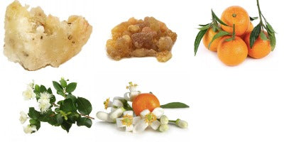 Buy Les Parfums De Rosine rosine for lesnob No. 1 eau online use,French perfumery house, buy French perfumery, order online perfumery in usa, buy online perfume usa, where to buy French perfumery in usa, price French perfumery in usa, delivery perfume in usa, delivery french parfum in usa, low price French perfumery, online store French perfumery in usa, rosine for lesnob No. 1 eau Les Parfums de Rosine for women, rosine for lesnob No. 1e eau by Les Parfums de rosine for women, Original perfumes from France premium quality, premium eau, buy online premium eau, French premium eau in usa, photo Les Parfums de Rosine rosine for lesnob No. 1 eau, original Les Parfums de Rosine rosine for lesnob No. 1 eau USA, Les Parfums de Rosine rosine for lesnob No. 1 eau buy online USA, where to buy rosine for lesnob No. 1 eau by Les Parfums de Rosine, Les Parfums de Rosine rosine for lesnob No. 1 eau top note, Les Parfums de Rosine rosine for lesnob No. 1 eau middle note, Les Parfums de Rosine rosine for lesnob No. 1 eau base note, rosine for lesnob No. 1 eau by Les Parfums de Rosine description, where to buy rosine for lesnob No. 1e eau les perfume de rosine