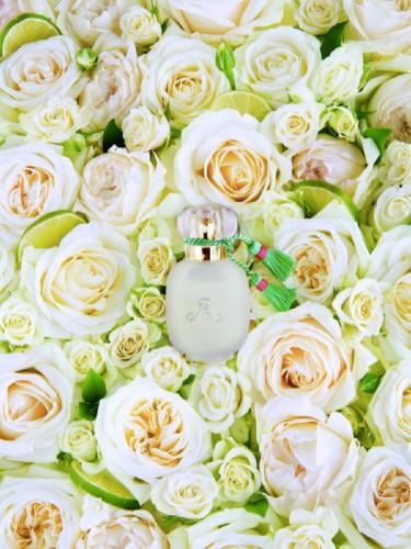 Buy Les Parfums De Rosine Rose D'ete online use,French perfumery house, buy French perfumery, order online perfumery in usa, buy online perfume usa, where to buy French perfumery in usa, price French perfumery in usa, delivery perfume in usa, delivery french parfum in usa, low price French perfumery, online store French perfumery in usa, the classic collection perfumery, rose dete Les Parfums de Rosine for women, Un Zest de Rose eau by Les Parfums de Rosine for women, Original perfumes from France premium quality, premium eau, buy online premium eau, French premium eau in use, photo Les Parfums de Rosine un zest de rose, original Les Parfums de Rosine un zest de rose use, Les Parfums de Rosine un zest de rose buy online USA, where to buy Un Zest de Rose eau by Les Parfums de Rosine, Les Parfums de Rosine un zest de rose top note, Les Parfums de Rosine Un zest de rose middle note, Les Parfums de Rosine Un zest de rose base note, Un Zest de Rose eau by Les Parfums de Rosine description